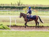 HC240925-30 - Rousham